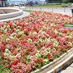 布兰卡公寓 公寓