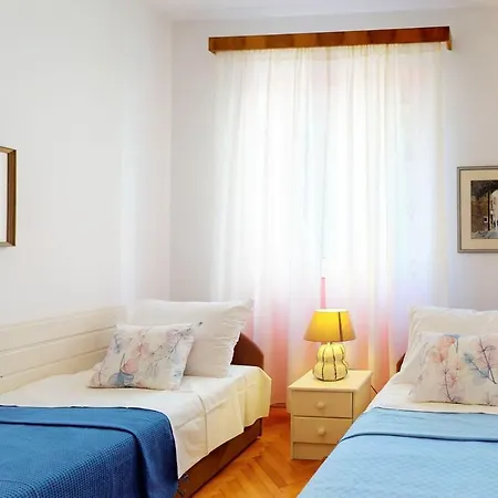 Apartment Branka *